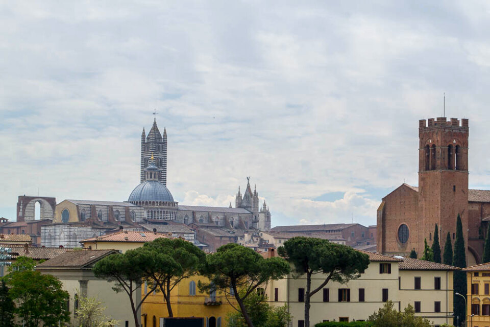 Wide view over Siena