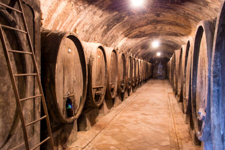 Wine cellar in Tuscany photo