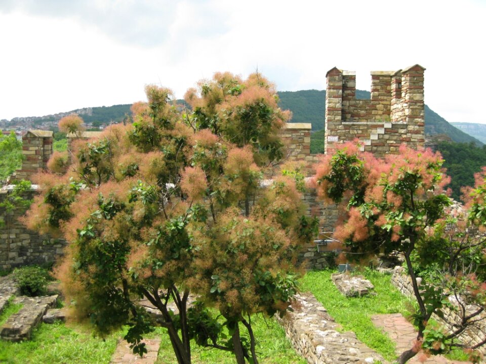 Fortress watchtower