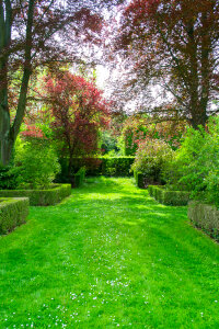 King's Garden corner