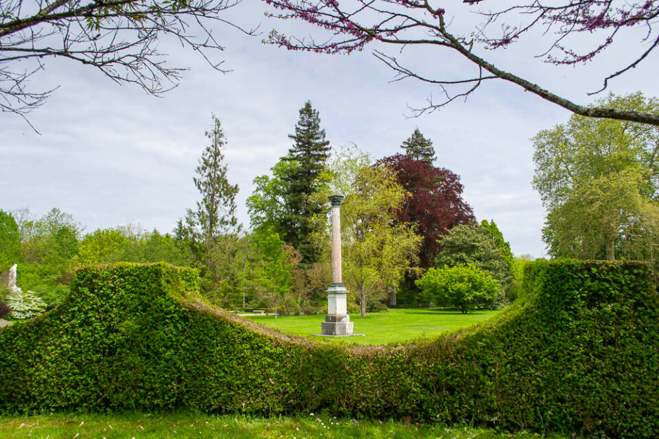 Marble column in King's Garden