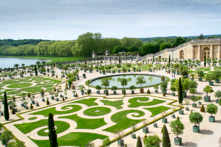 Versailles Orangerie photo