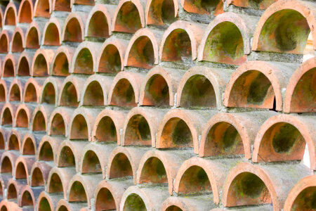 Shingle fence photo