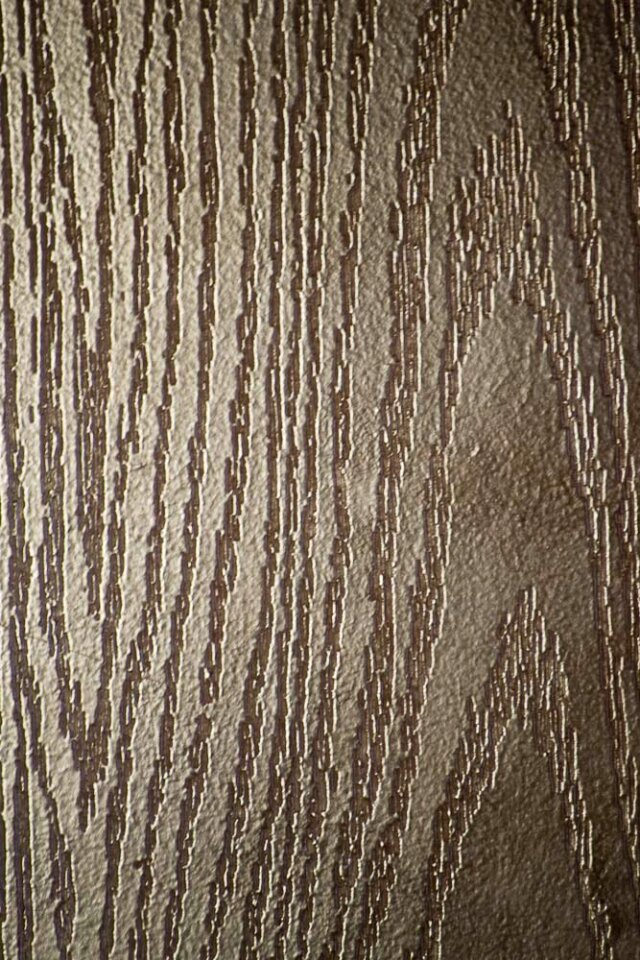 Entrance door texture
