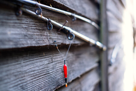 Old fishing rods photo