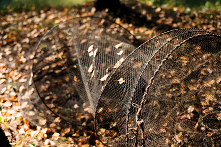 Fish net lying on the ground photo