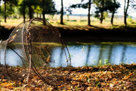 Fish net at the pond photo