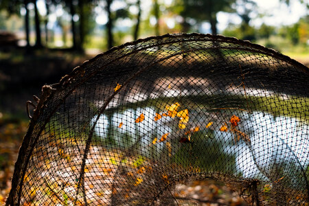 Fish net at the pond 3 photo