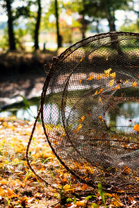 Fish net at the pond 2 photo