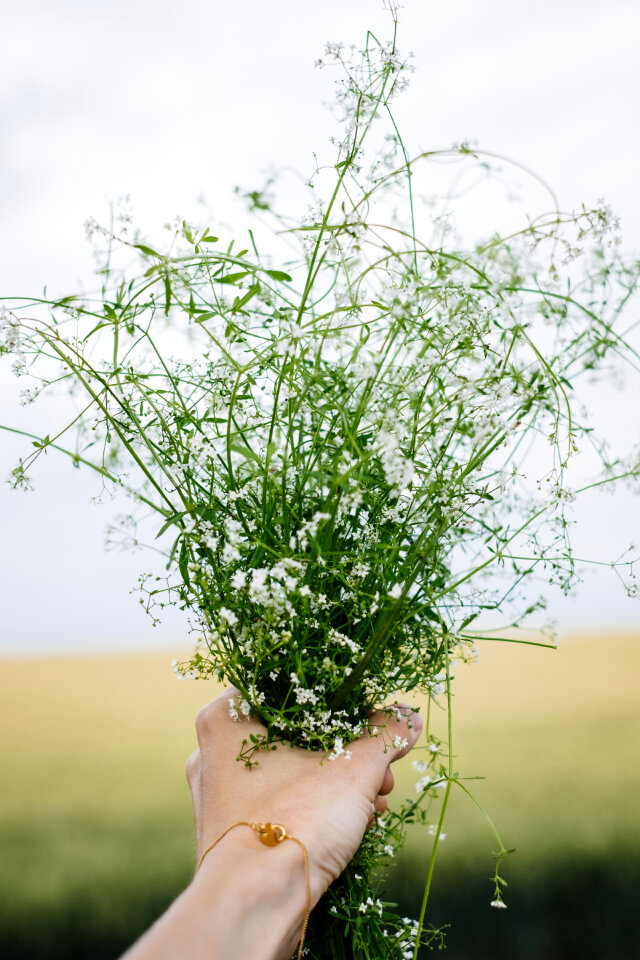 Wild flowers bouquet in a female hand 5