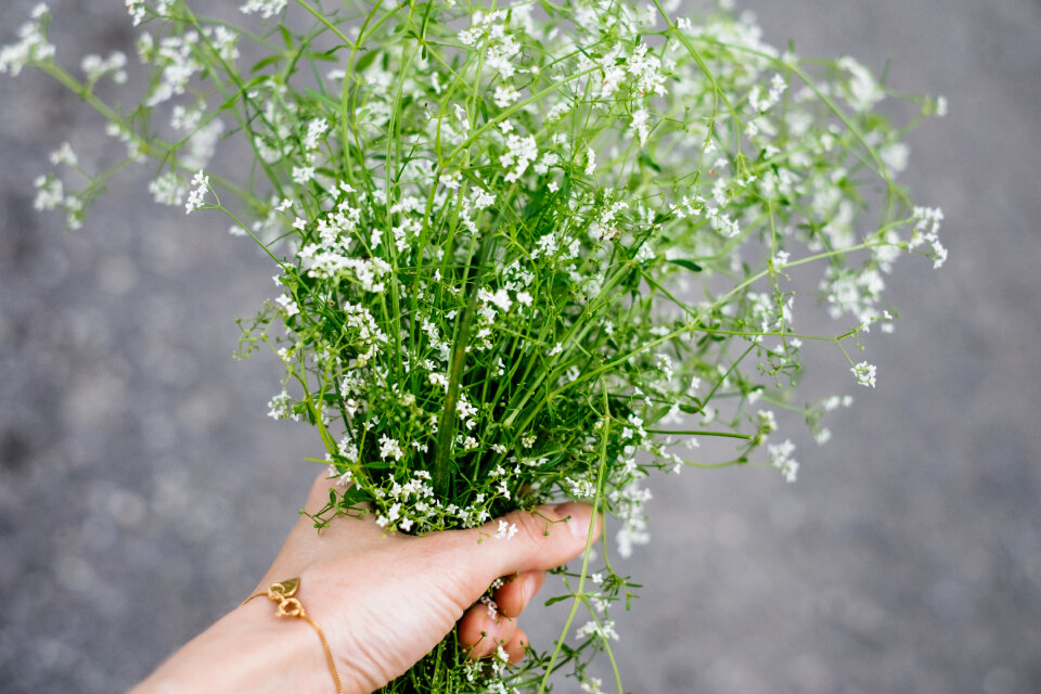Wild flowers bouquet in a female hand 3