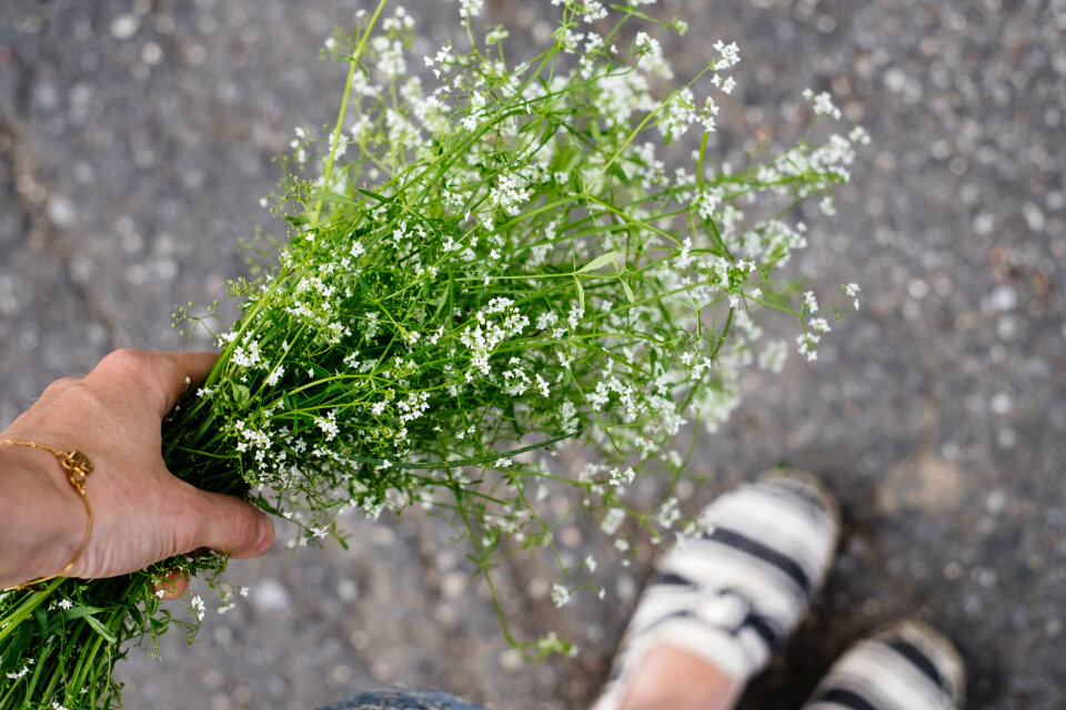 Wild flowers bouquet in a female hand 7