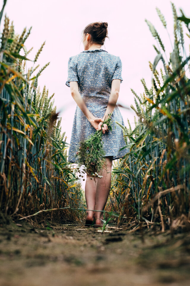 Girl standing in a triticale field 3