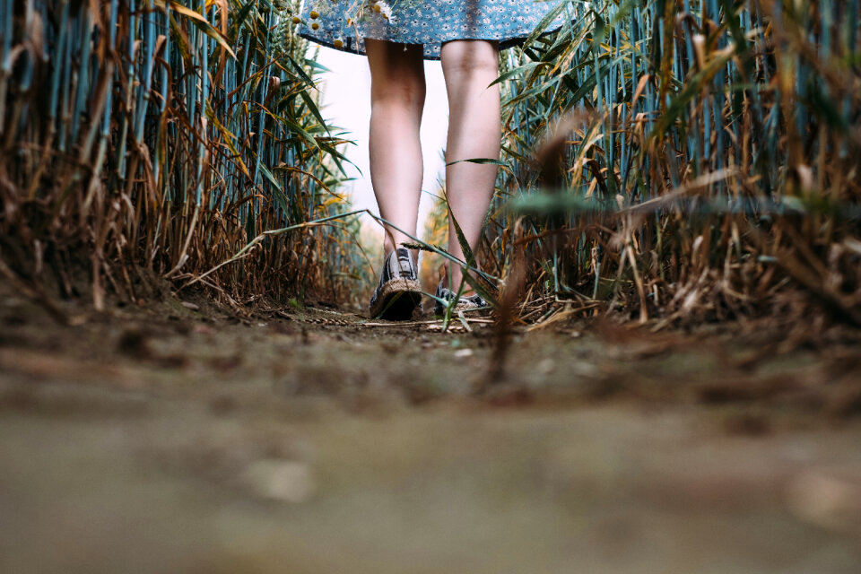 Girl standing in a triticale field 4