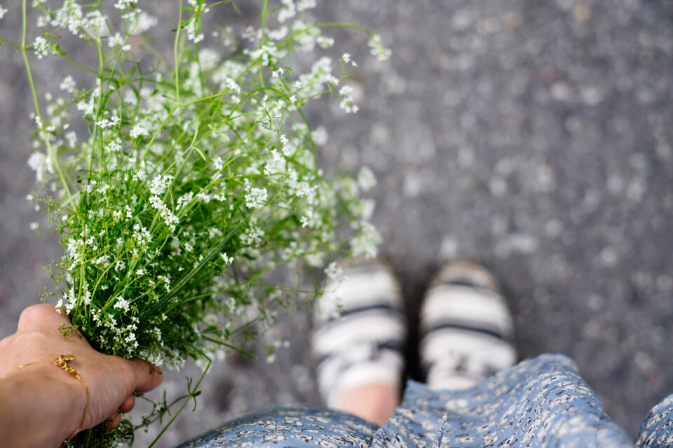 Wild flowers bouquet in a female hand 6