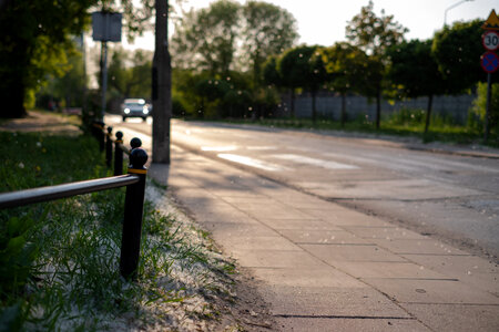 Pollen flying in the street