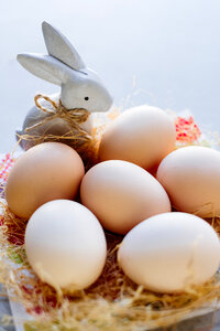 Ceramic Easter Bunny and plain eggs photo