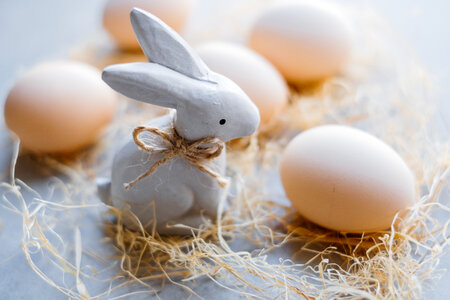 Ceramic Easter Bunny and plain eggs 2 photo