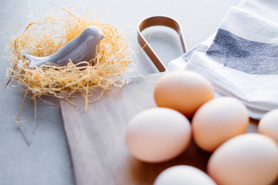 Ceramic bird in a nest and plain eggs