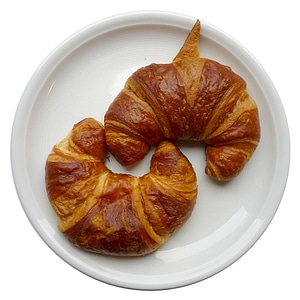 Puff squirrels pastries baked goods