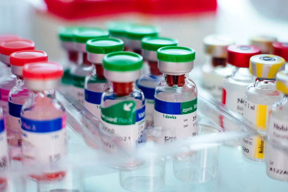Veterinary solution vials 3