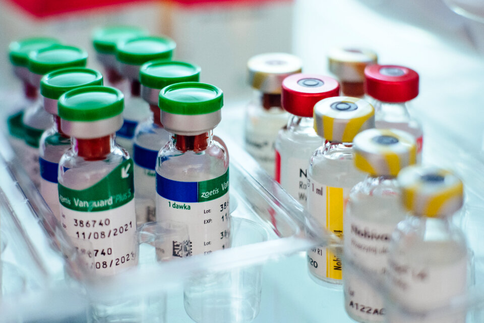 Veterinary solution vials
