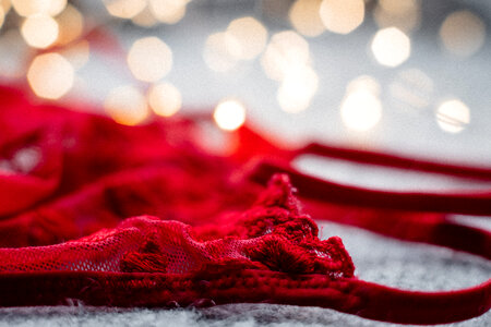 Red lace lingerie 2