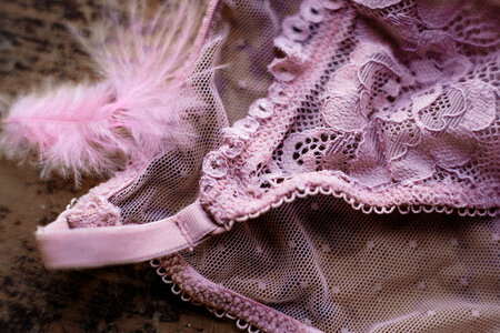 Pink lace lingerie 2 photo