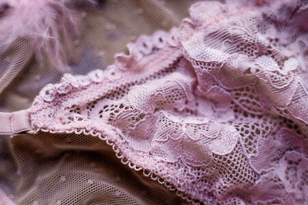 Pink lace lingerie 3 photo