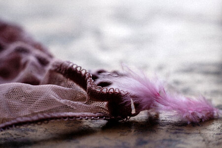 Pink lace lingerie photo