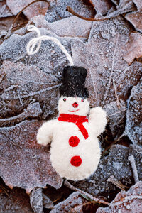 Felted snowman on frosted leaves photo