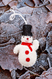 Felted snowman on frosted leaves