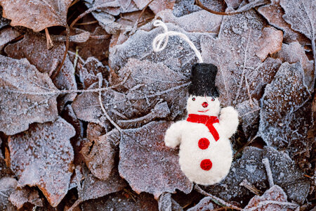 Felted snowman on frosted leaves 2 photo