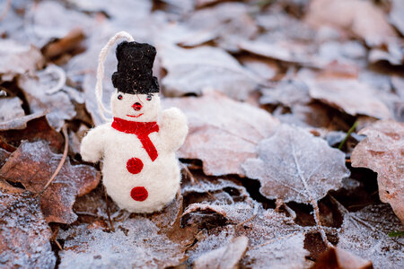 Felted snowman on frosted leaves 6 photo