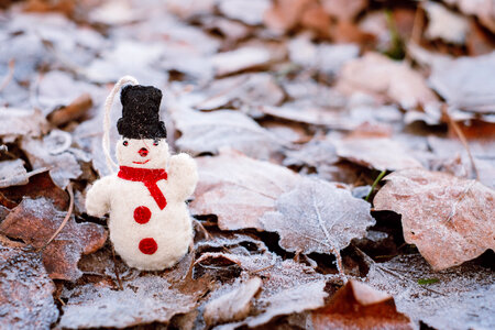 Felted snowman on frosted leaves 4