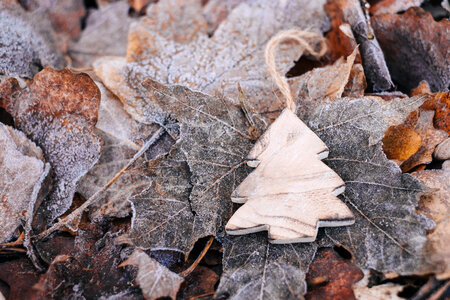 Wooden Christmas tree on frosted leaves 2 photo