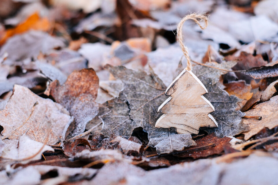 Wooden Christmas tree on frosted leaves 3