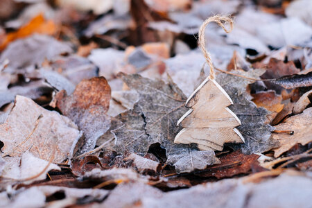 Wooden Christmas tree on frosted leaves 3 photo
