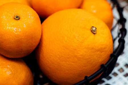 Bowl of oranges and mandarins photo