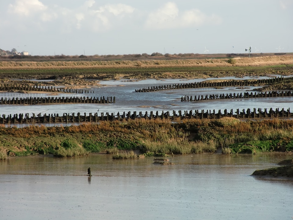 Defenses water marsh