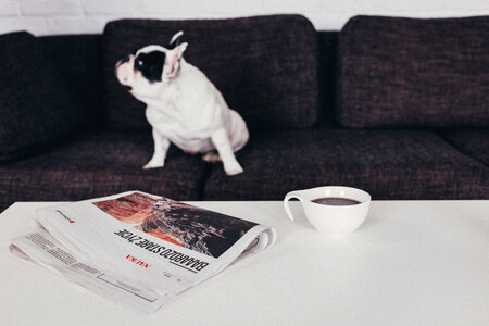 Cup of coffee and a newspaper on the table 3 photo