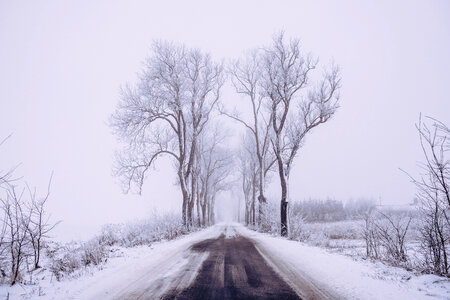 Snow covered road 2 photo