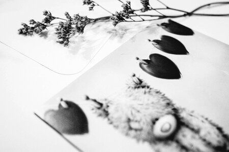 Valentines card with teddy bear in black and white photo