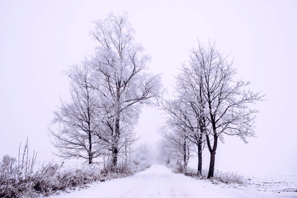 Snow covered road 3