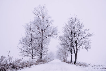 Snow covered road 3 photo