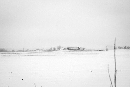 Foggy winter day in the field in black and white photo