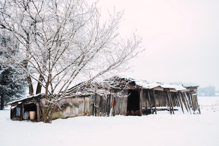 Wooden shed in the countryside photo