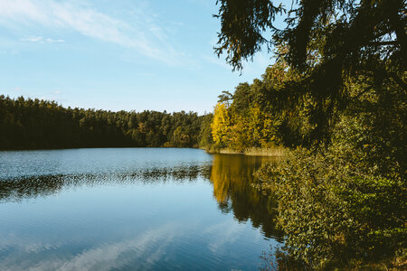 Calm lake surrounded by forest 2 photo