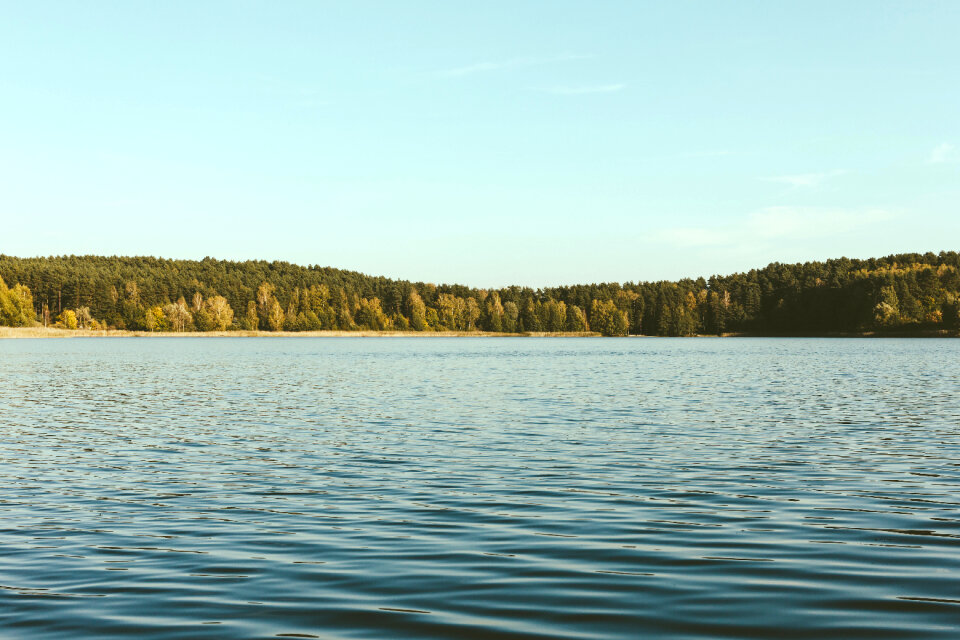Wavy lake surrounded by forest