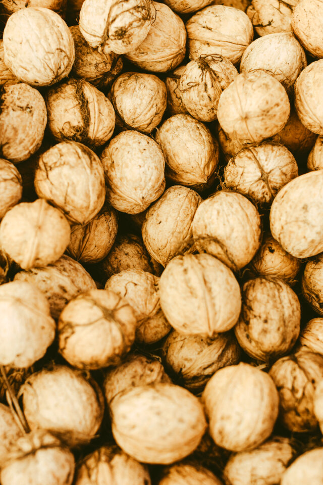 Many walnuts